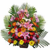 ӱʻٵ