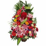 ӱʻٵ