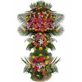 ӱʻٵ